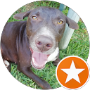 sol pe profile picture